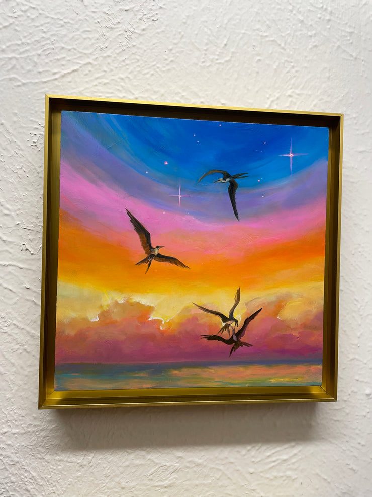 “Frigate Bird Magic" original oil on panel 8x8 framed