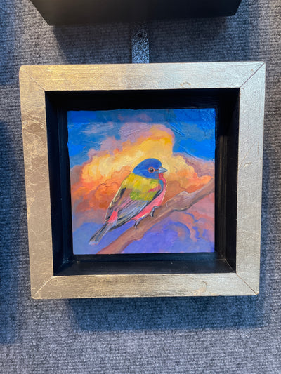 “Painted Bunting Study" original oil on panel 5x5 framed