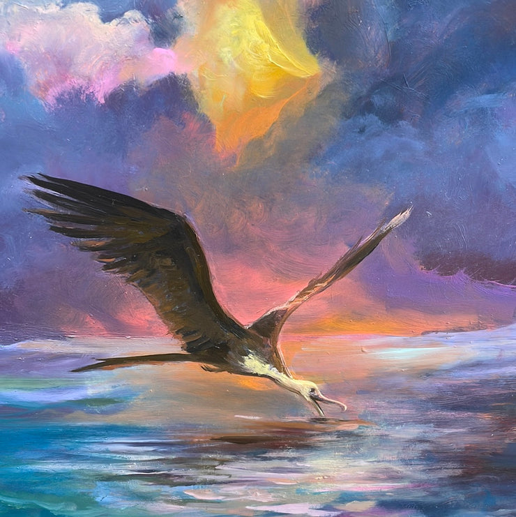 “Frigate Bird’s Dream” original oil on panel 18x18