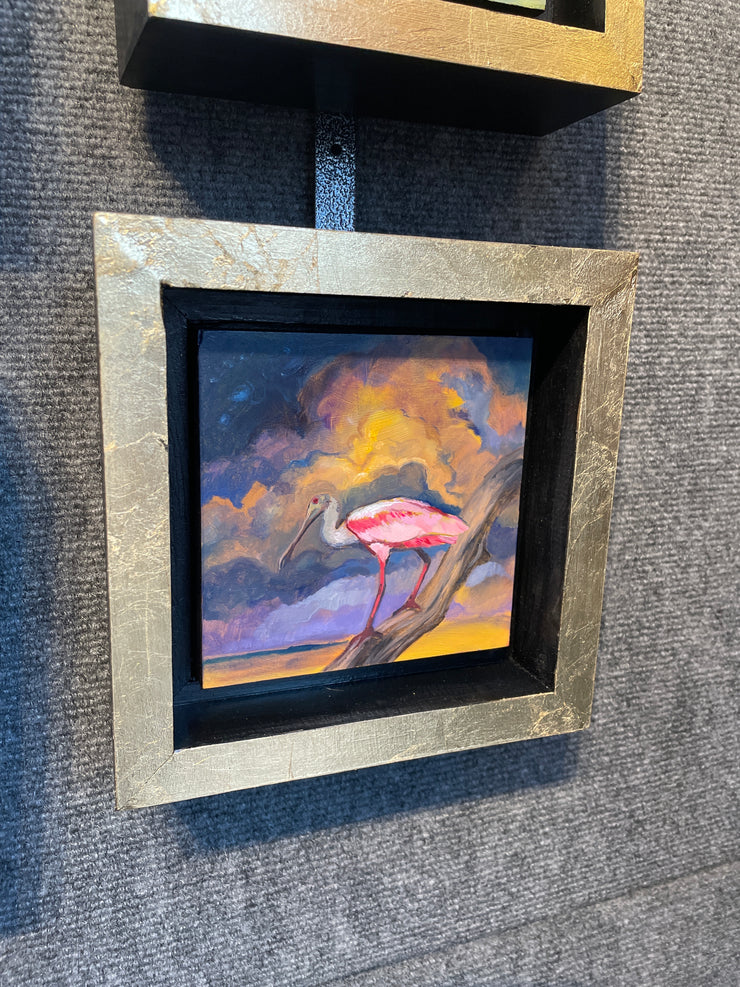“Spoonbill Study Red Eye" original oil on panel 5x5 framed