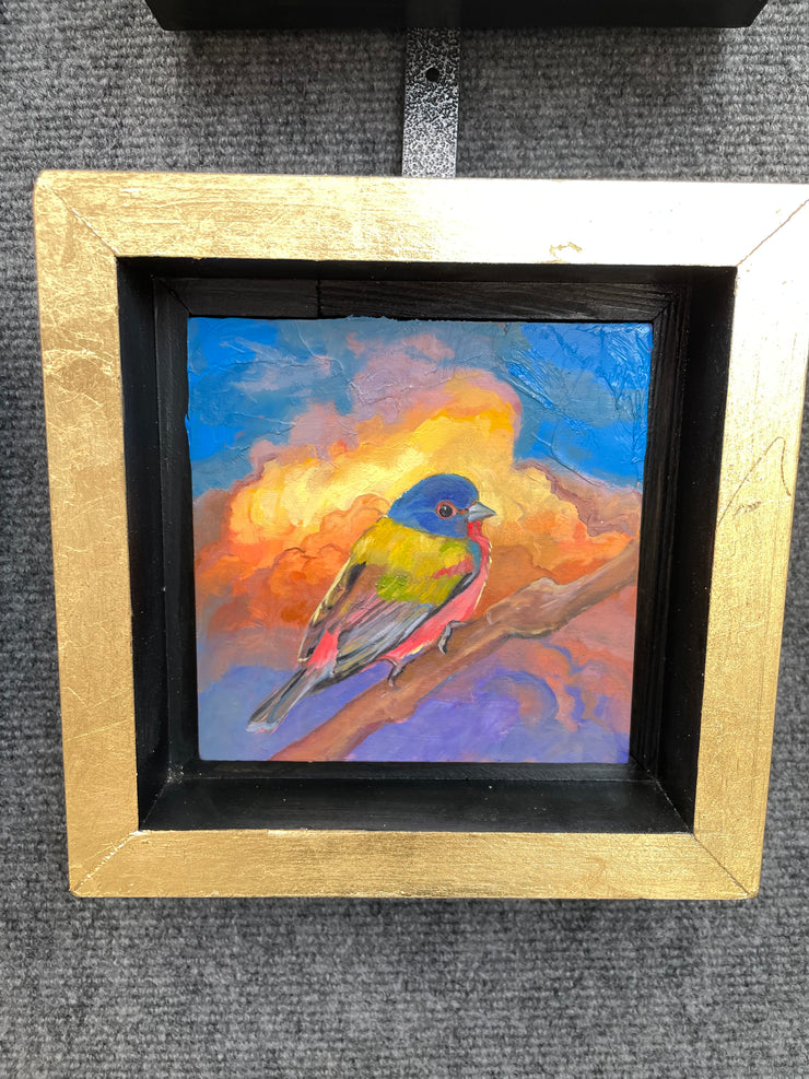 “Painted Bunting Study" original oil on panel 5x5 framed